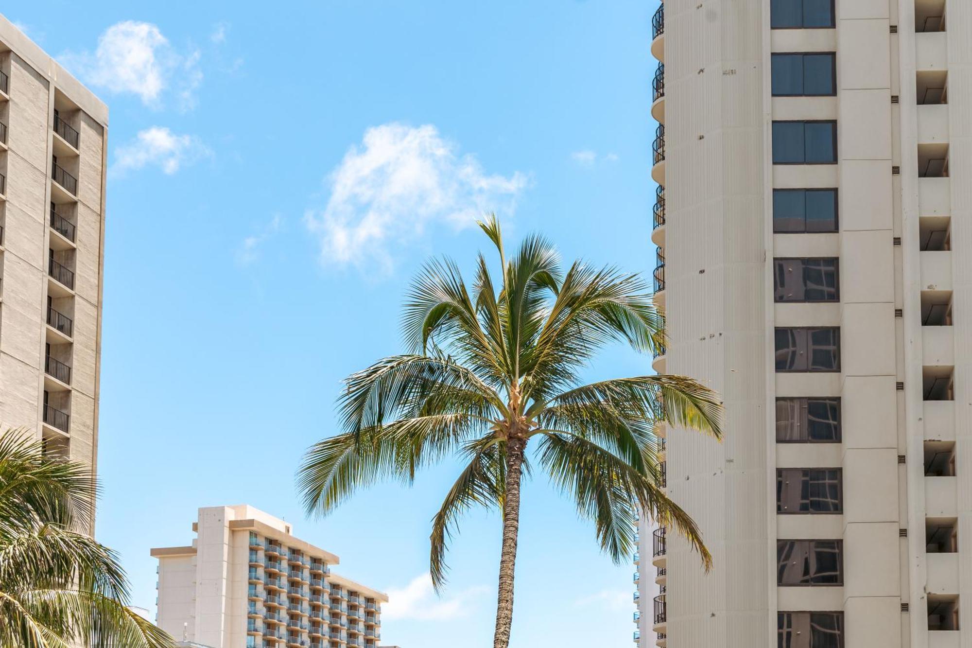 Mountain View Getaway, Free Parking And Beach Steps Away โฮโนลูลู ภายนอก รูปภาพ